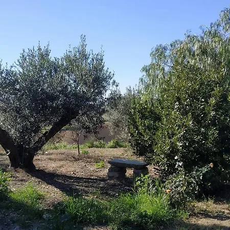 Masseria Baglio Perciata Gospodarstwo agroturystyczne Camporeale