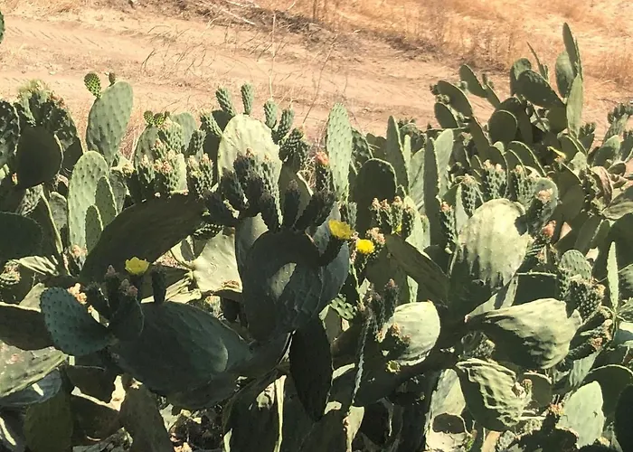 Masseria Baglio Perciata Feriegård *